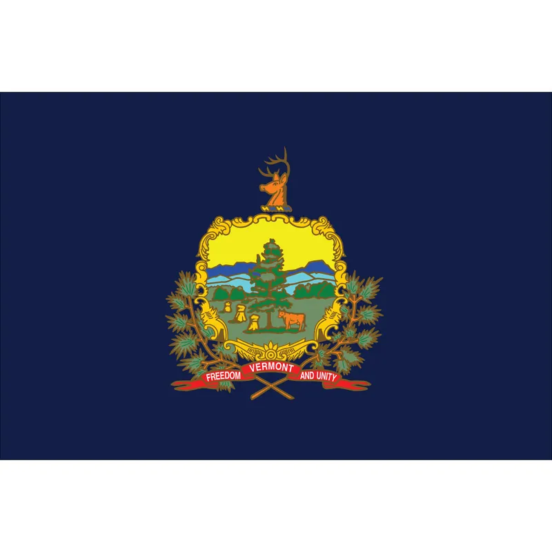 Vermont State Nylon Flag Direct From Factory